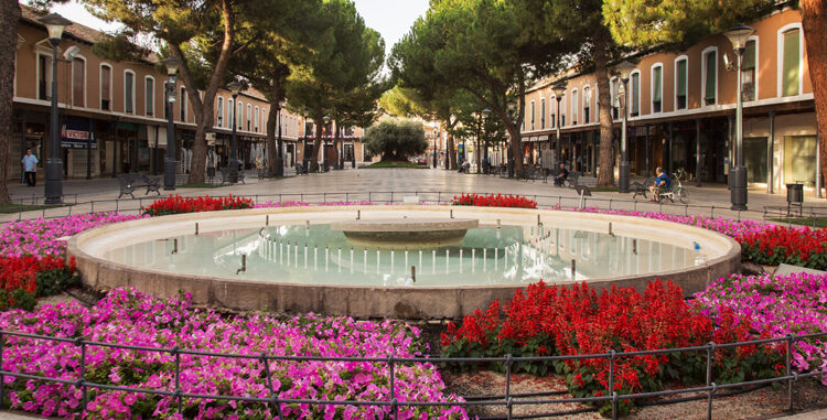 Horarios y agenda turística en Daimiel